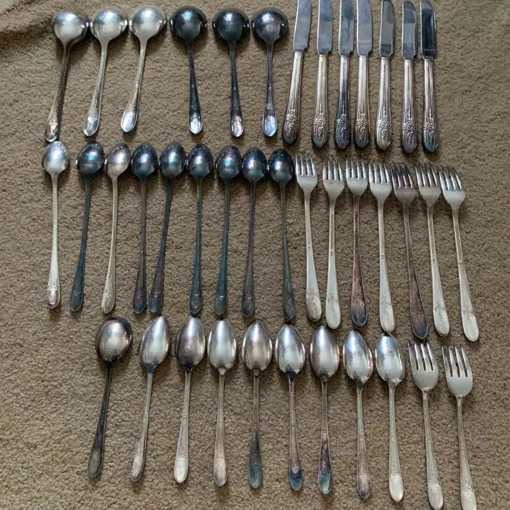 Wm Rogers Mfg. Co. Extra Plate IS TRIUMPH 40 Piece Flatware Set